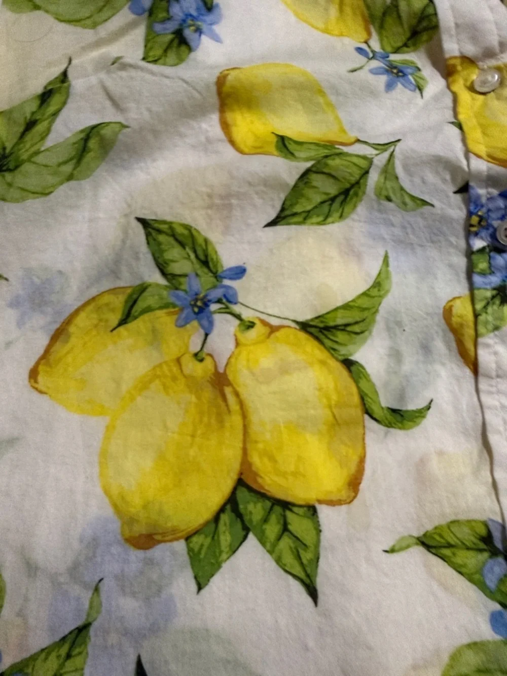 Talbots Lemon Print Button-Down Shirt - Yellow, Green & white - Picture 6 of 6
